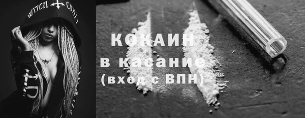 хмурый Гусев
