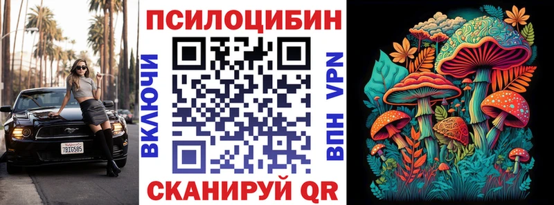 Галлюциногенные грибы мицелий  MEGA как войти  Дальнегорск  как найти закладки 